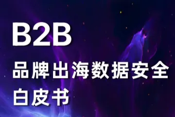 径硕科技：2025B2B品牌出海数据安全白皮书