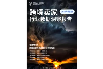 2024Q2跨境卖家行业数据洞察报告