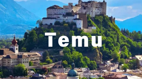 Temu全球第二的光环下，半托管卖家为何集体焦虑？