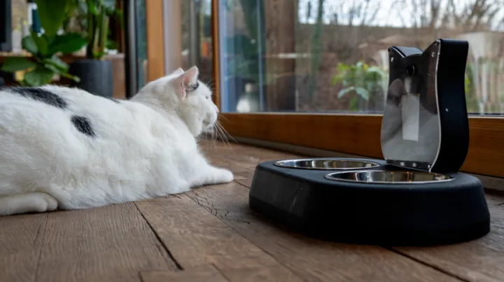 CES上AI概念集体爆发，但还有一些你不知道的小众爆品