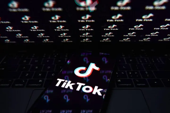 TikTok电商广告进阶指南：GMV Max投放策略与效能优化全解析