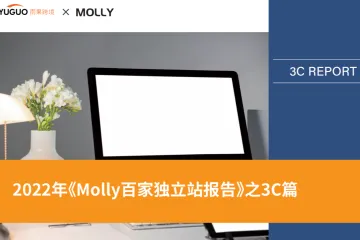 雨果跨境：2022年Molly百家独立站报告之3C篇