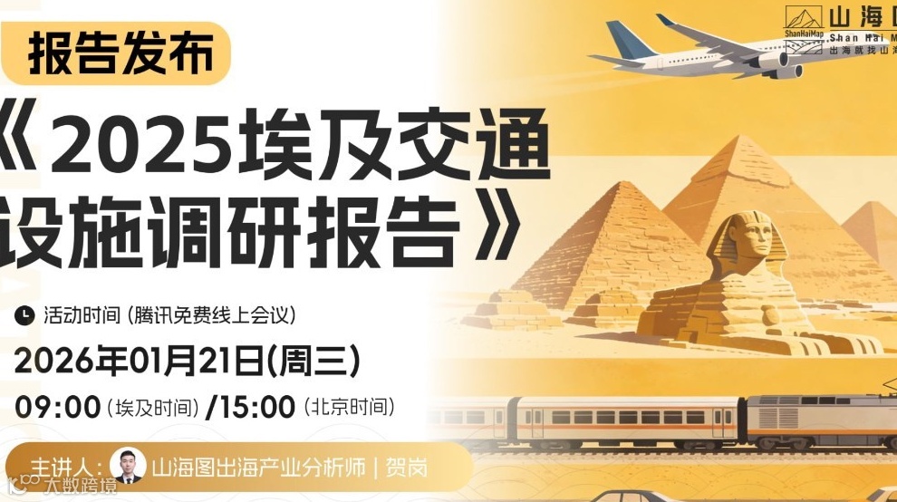 2025埃及交通设施调研报告