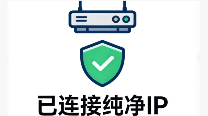 纯净 IP 的真正价值：平台是如何“先信 IP，再信账号”的？
