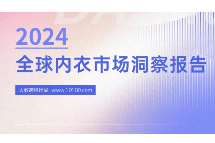 报告解读：2024全球内衣市场洞察市场解读