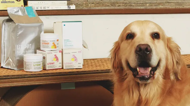 给老年宠物做“保健品”？这个中国品牌把中药卖到了欧洲