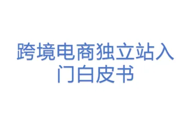 跨境电商独立站入门白皮书