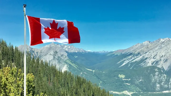 中加“电车换油菜籽”，关税降了！