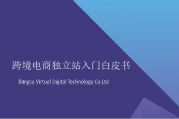 易诺:2024年跨境电商独立站入门白皮书