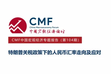 CMF：2025中国宏观经济专题报告特朗普关税政策下的人民币汇率走向及应对