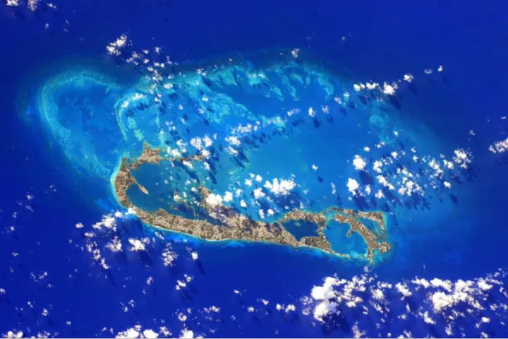 探索百慕大群岛：揭秘公司查询能获取的文件与信息