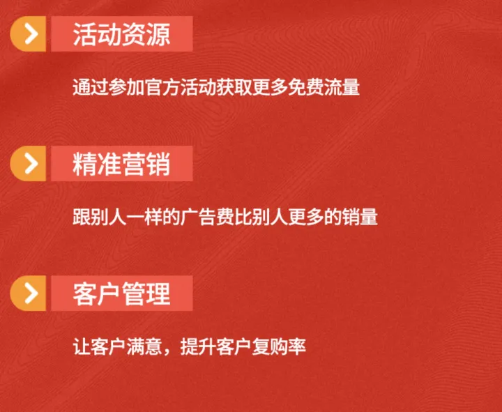 亚马逊代运营 · 整店托管增长方案
