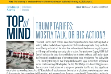 高盛：2025年特朗普关税政策研究报告：夸夸其谈还是实际行动？