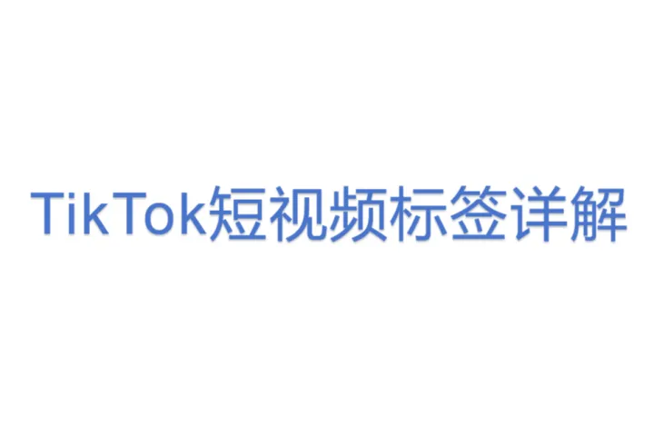TikTok<em>短</em><em>视频</em>标签详解(1).pdf