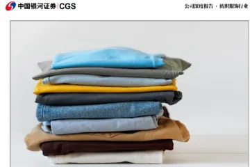 中国银河证券：安踏体育-港股公司深度报告多品牌体育龙头本土崛起布局全球