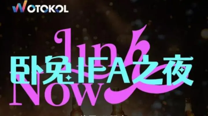 Link <em>Now</em> 卧兔IFA之夜