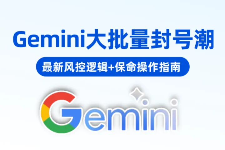 Gemini最近大批量封号？最新风控逻辑+保命操作指南
