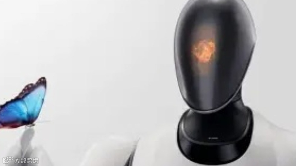 形智共生·感知无界——2025（第二届）人形机器人感知与控制峰会 暨具身智能数据采集与训练技术论坛