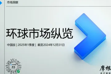 摩根资产管理：2024年四季度环球市场纵览报告中国版