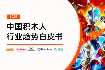 飞未天猫2025年中国积木人行业趋势白皮书43页