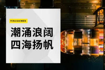 2024中资企业出海报告