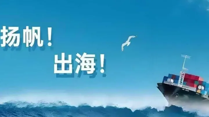 出海人力资源管理GLOBAL模型实战课-黄渊明授