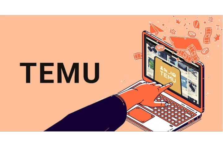 Temu入驻要求：主体资质与材料准备的核心要点