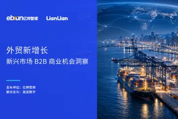《2026新兴市场B2B机会》