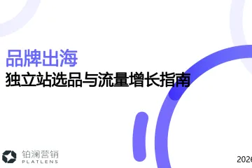 《2026品牌独立站增长指南》
