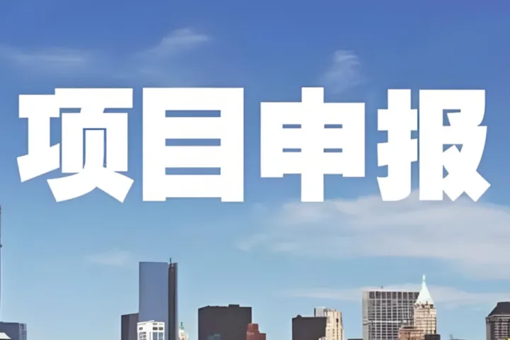双软认定代理服务机构哪家靠谱？2026年机构选择与服务能力对比