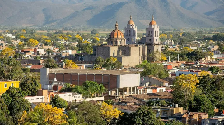 【重磅喜讯🌟 | 趣税仅用3个工作日就成功取得意大利资质！！】