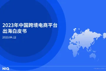 《中国跨境电商平台出海白皮书》