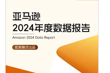 《2024亚马逊年度数据报告》