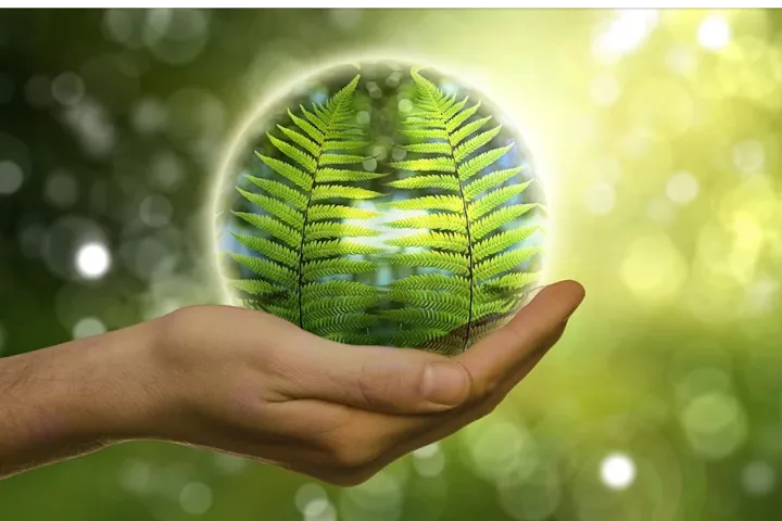 跨境电商环保选品：抓住绿色商机，开启财富大门