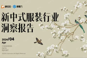 蝉妈妈ampamp蝉魔方2024新中式服装行业洞察报告29页