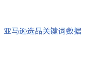 亚马逊选品关键词数据
