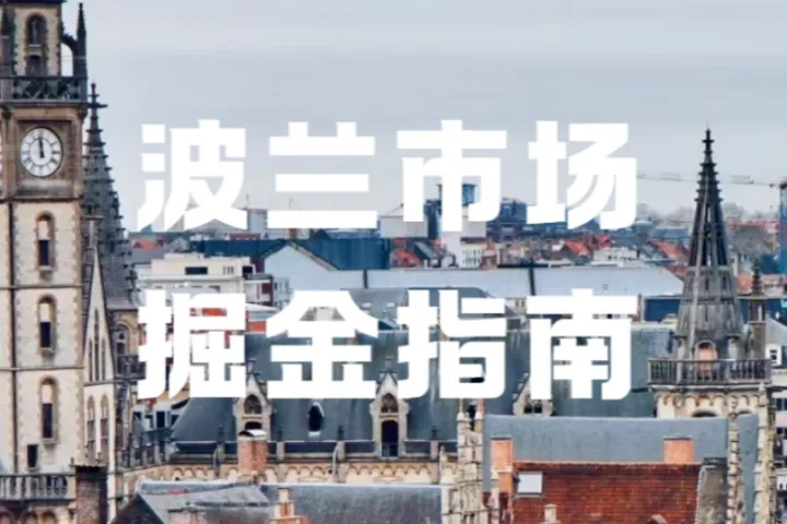 平台免佣金！Allegro年初重磅福利，出口新方案0%佣金