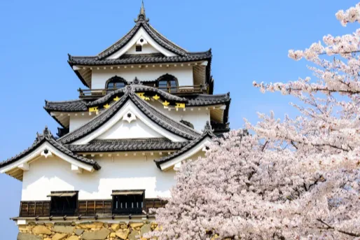 日本年末商战倒计时：高利润节日礼品选品指南