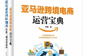 《跨境电商宝典》-老魏807页电子书