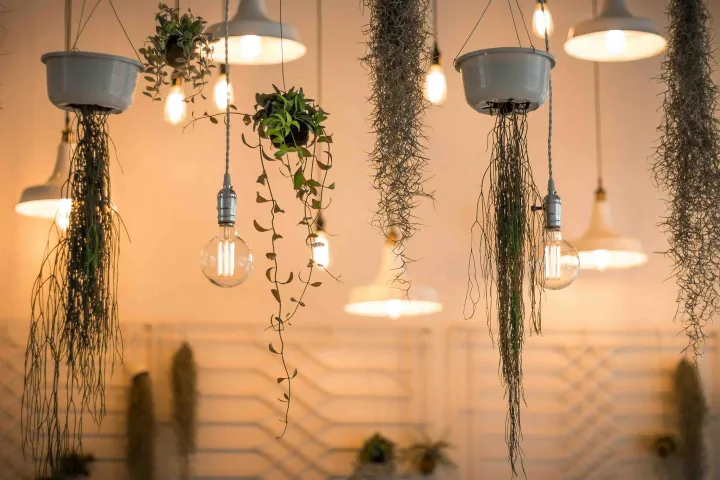 出海观察|全球灯具市场概况及出口趋势分析   