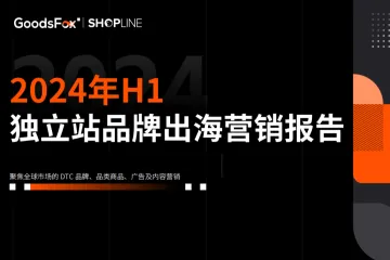 2024年上半年独立站品牌出海营销报告