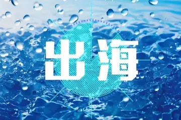 防止“内卷式”恶性竞争，出海防侵权、合规第一位！