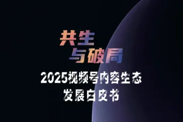 百准共生与破局-2025视频号内容生态发展白皮书82页