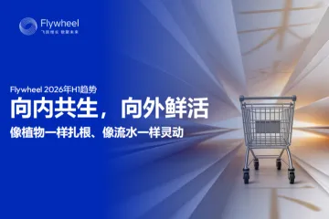 飞未2026上半年电商趋势报告
