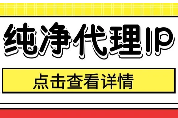 纯净代理IP前3名2026最新测评！