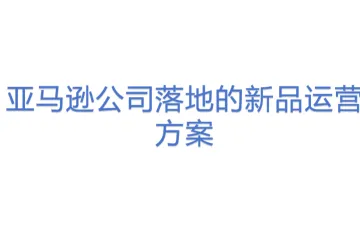 亚马逊公司落地的新品运营方案