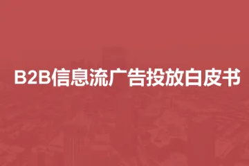 SalesDriver：2025年B2B信息流广告投放白皮书
