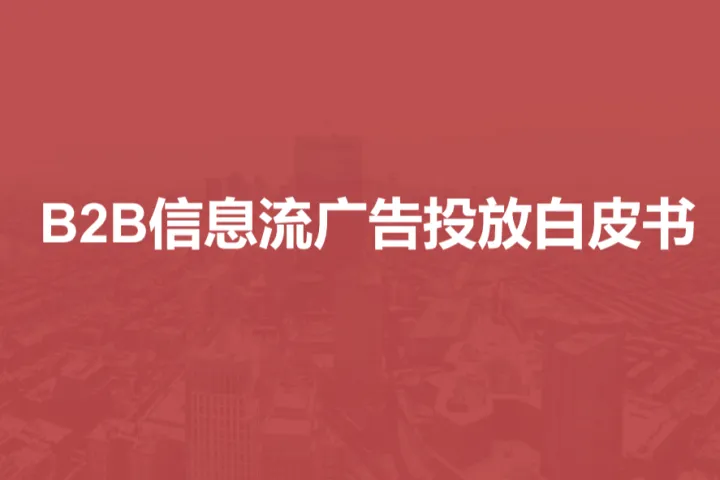 SalesDriver:2025年B2B信息流广告投放白皮书