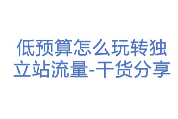 低预算<em>怎么</em>玩转独立站流量-干货分享