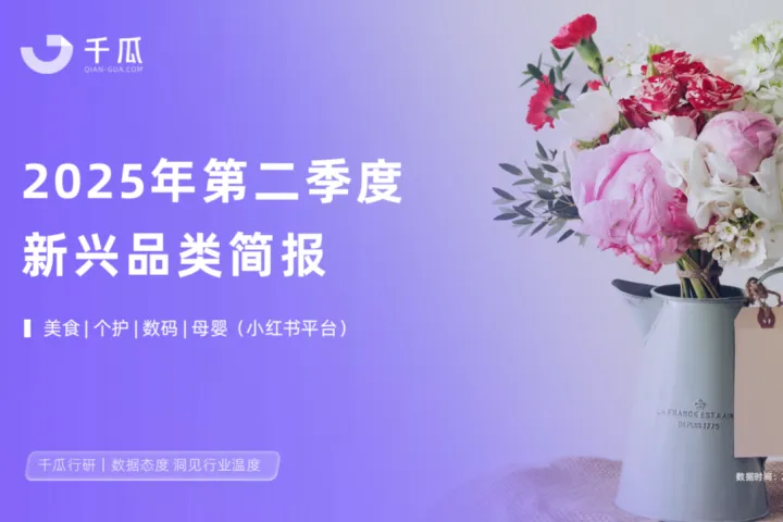 千瓜数据：2025年第二季度新兴品类简报小红书平台